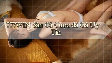 777win  sàn cá cược đá gà uy tín